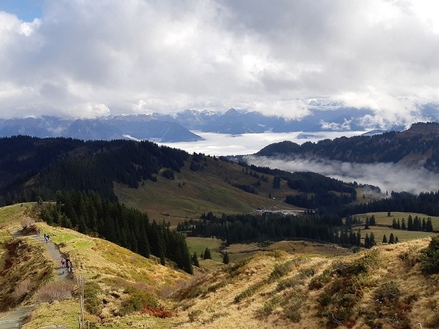 Hundetreffen 2019 im Allgäu (13)